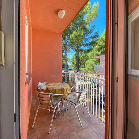 Vesna S Apartment Novigrad Istria Eksteriør billede