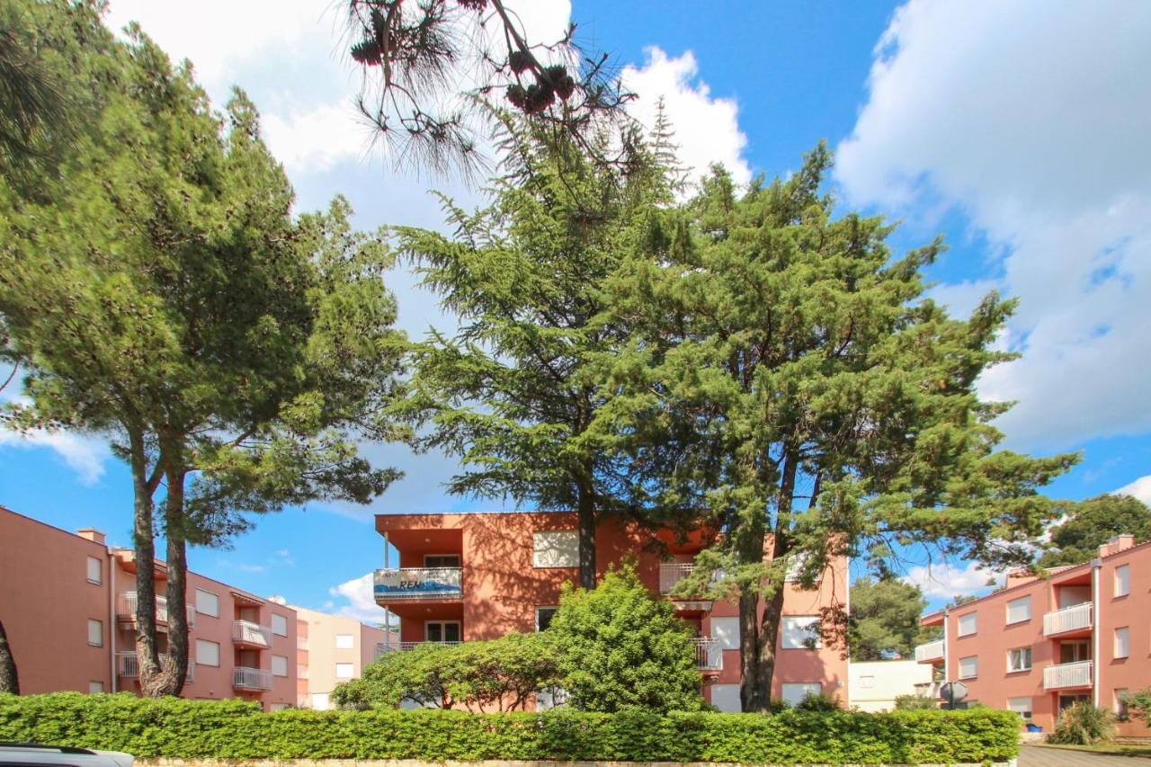Vesna S Apartment Novigrad Istria Eksteriør billede